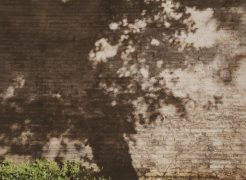 Wall #16