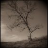 Sacred landscape