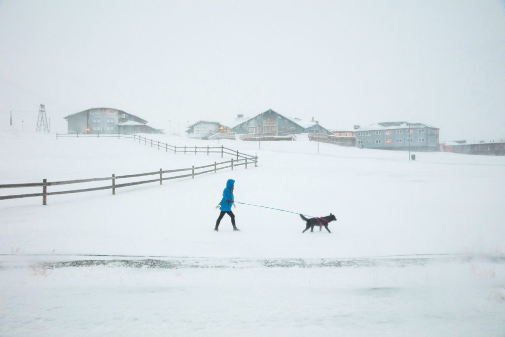 Guia Besana "Arctic 2"