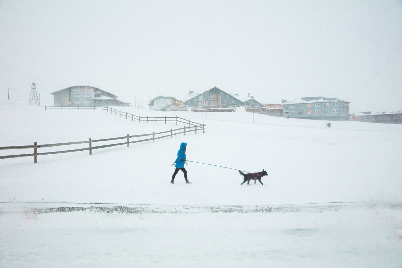 Guia Besana "Arctic 2" 