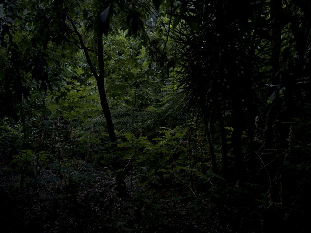Terrasanta_03